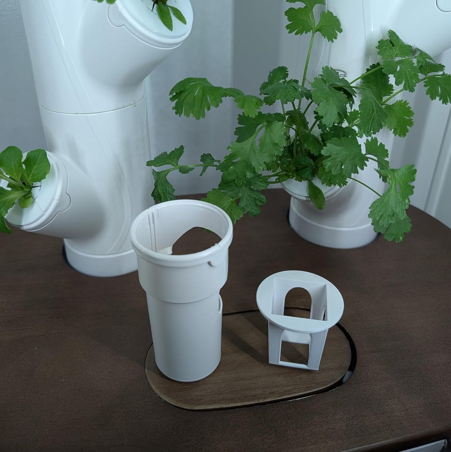 Grow Cubes for Hydroponic System/Compatible with Gardyn (15 Grow Cubes)