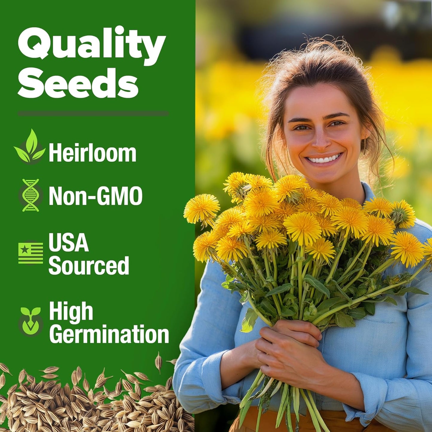 HOME GROWN 𝗨𝗦𝗔 𝗣𝗥𝗘𝗠𝗜𝗨𝗠 Dandelion Seeds for Planting – 600 Heirloom Medicinal Herb Seeds (~0.3g) 𝗡𝗢𝗡-𝗚𝗠𝗢 Grow Edible Leaves and Flowers for Remedies or Wildlife (Taraxacum officinale)