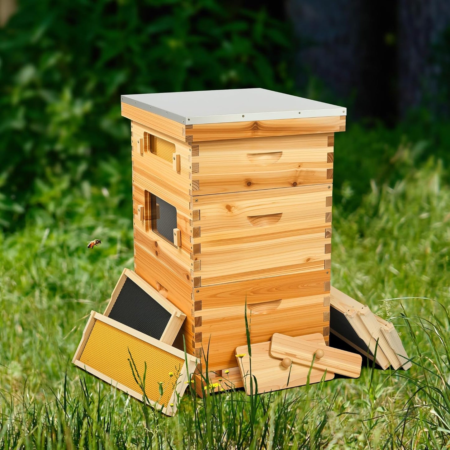 CREWORKS 10 Frame Bee Hive, 3 Layers Beeswax Coated Beehive Starter Kit with Frames & Foundations, Langstroth Bees Hives Box with Transparent Acrylic (Window Medium Box & 2 Deep Boxes)