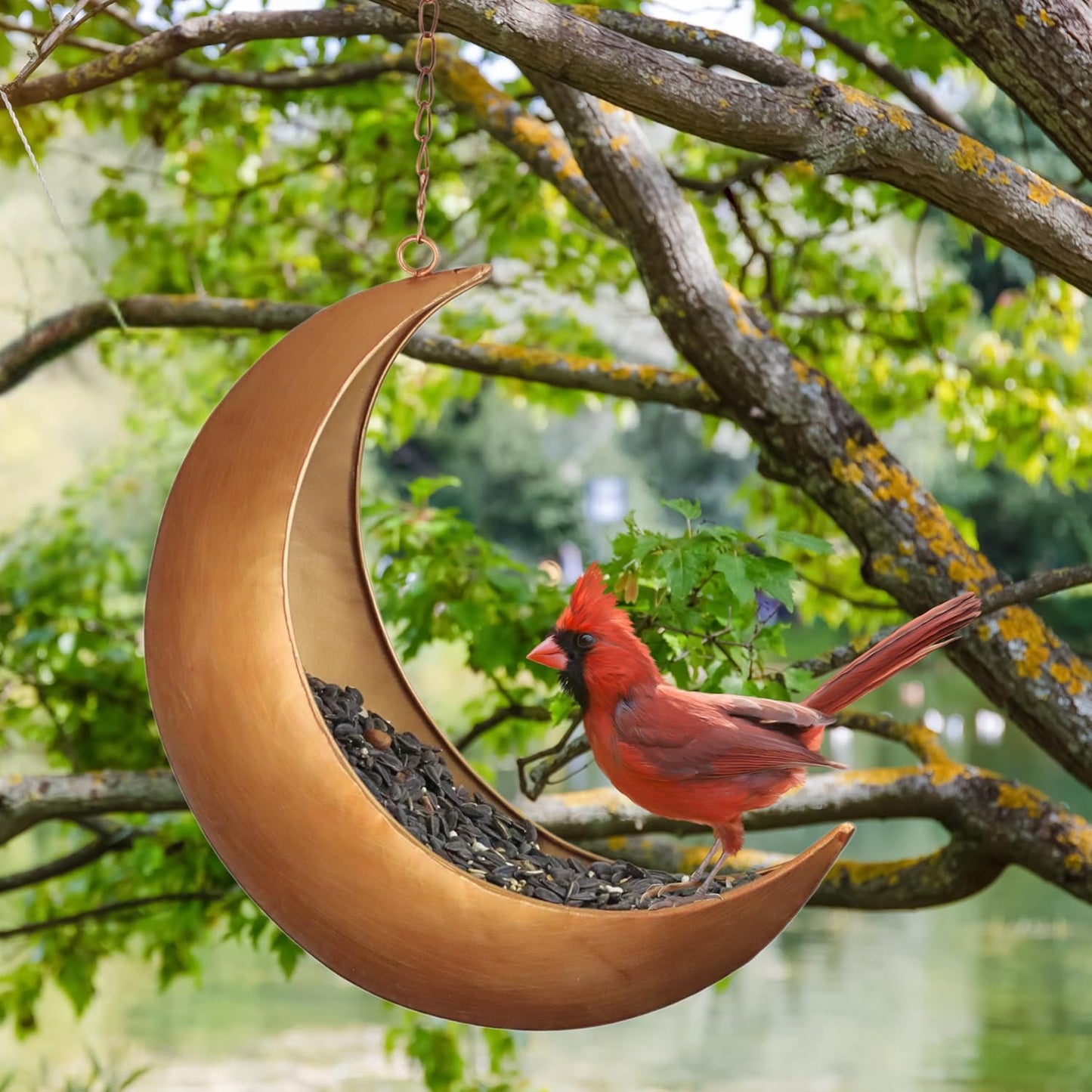 Hanging Moon Bird Feeder – Unique Metal Bird Feeders for Outdoors, Antique Gold, Rust-Resistant, Drain Holes – Wild Bird Feeder for Bluebirds, Cardinals, Finches, and Backyard Birdwatching