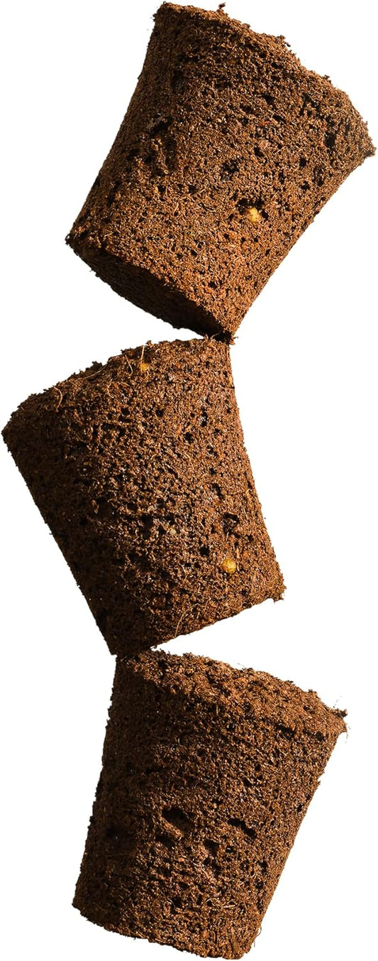 Grow Your Own Seed Pod - Complete Seed Pod Plugs with Plant Food (add Your own Seeds) - 10 Pods for Hydroponic Gardens, Click and Grow, Lettuce Grow and Outdoor Gardens