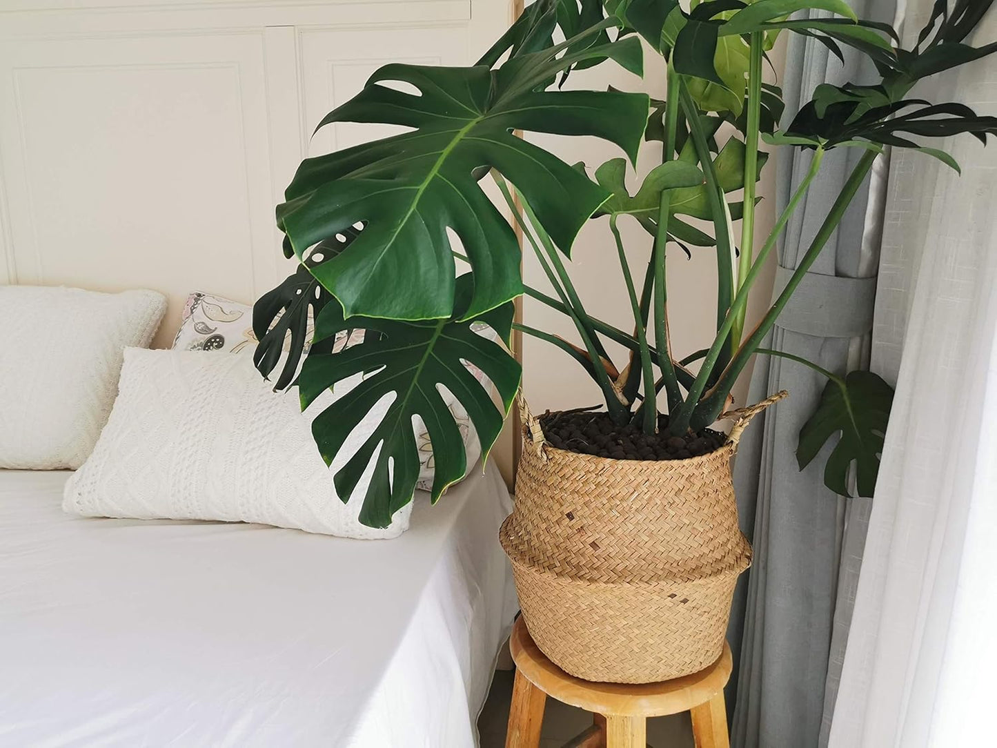 Extra Large Seagrass Plant Basket with Handles, Wicker Woven Storage Basket (14.1“ Diameter x 13.8" Height), Natural)