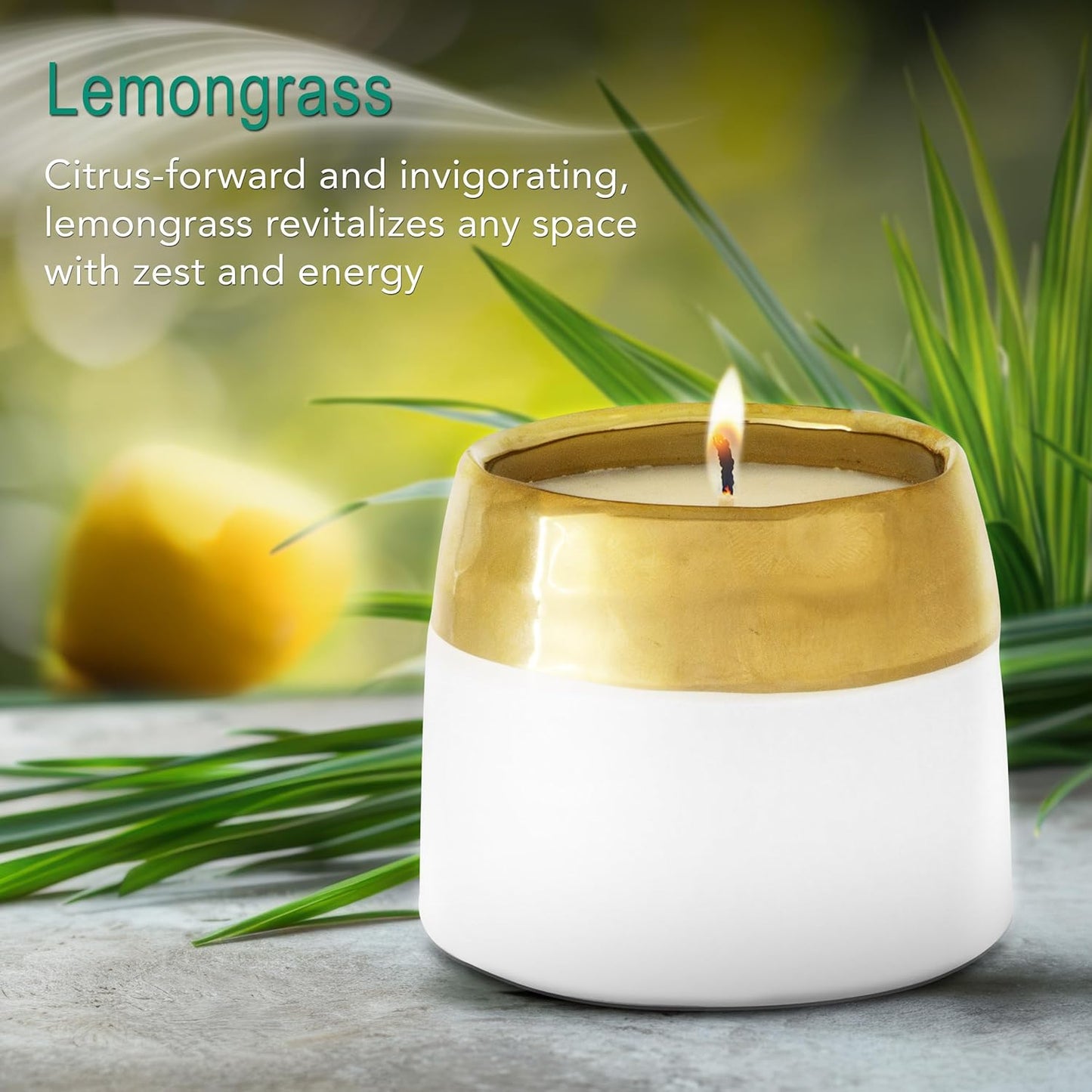 The Growing Candle, Lemongrass Scented, 10oz Ceramic Pot, Single Wick Aromatherapy Candles, 100% Soy for Women and Men, Clara
