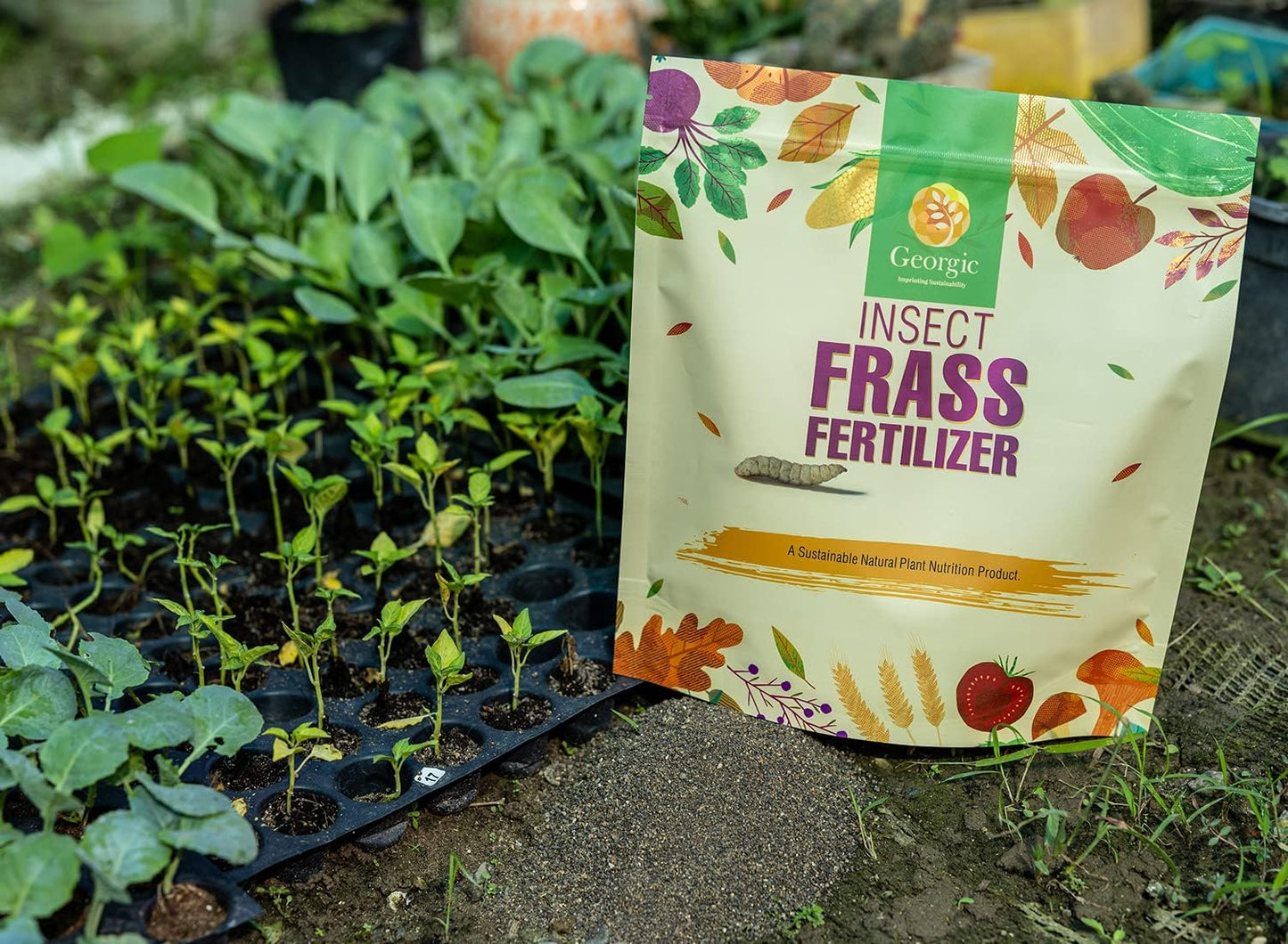 Insect Frass Fertilizer for Soil Amendment, All-Purpose Organic House Plant Food and Fertilizer- Pack of 2
