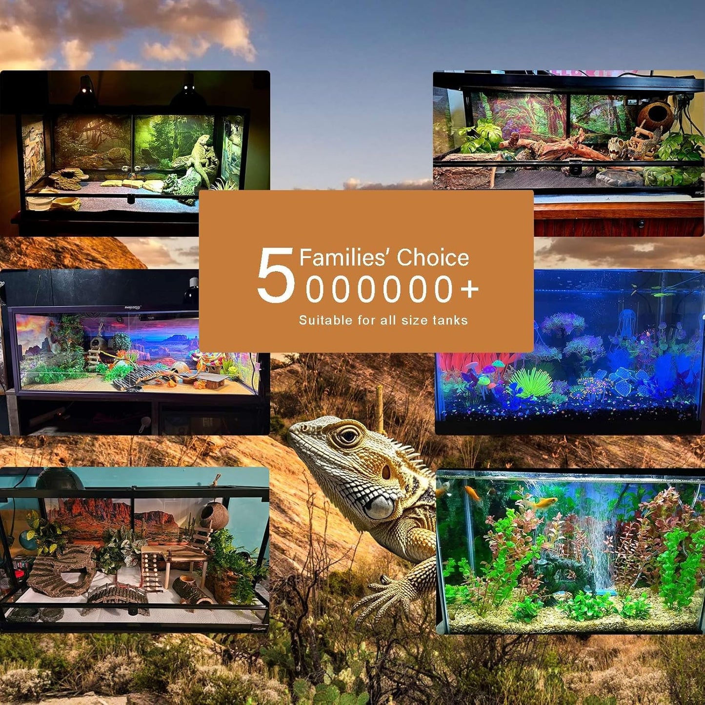 Aquarium Background Various Underwater Grass Plants Aquarium Backdrop Vivid and Fresh Green Aquatic Plants Stone River Bed and Dead Wood Purple Stone Fish Tank Background 24x12in