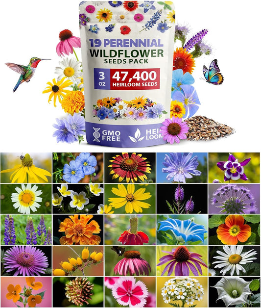 HOME GROWN Wildflower Seeds Mix - 47,400+ Non-GMO USA-SOURCED Seeds - 19 Perennial Flower Varieties for Planting Outdoors - Attract Butterflies & Birds - 3oz Wild Flower Seed Mix