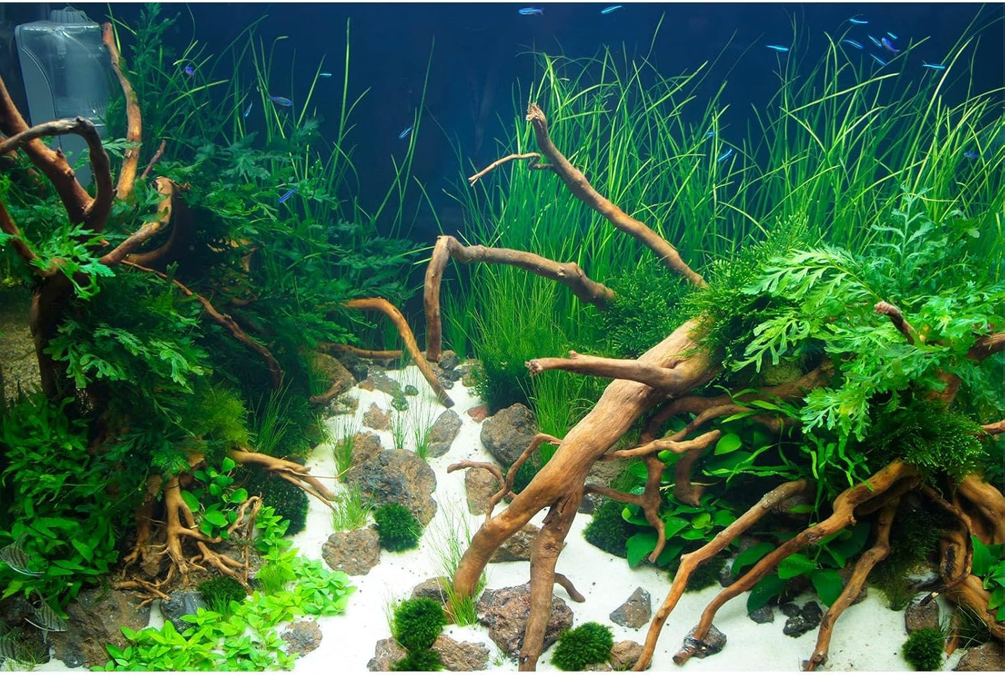Aquarium Background Various Underwater Grass Plants Fish Tank Background Vivid Green Aquatic Plants Terrarium Backdrop Stone River Bed Dead Wood Yellow Stone Fish Tank Wallpaper Poster 48x24in
