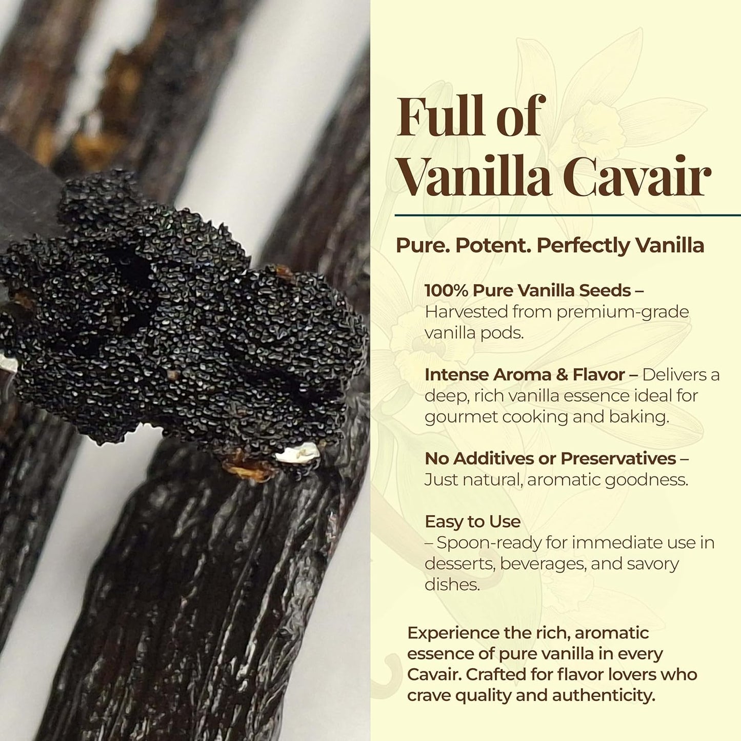 1 LB Bulk Vanilla Beans Grade A + | Vanilla Bean Pods For Making Extract | Non-GMO | Perfect For Baking, Cooking, & Desserts | 6-8 Inches. NYVanilla.