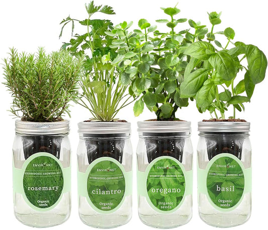Hydroponic Mason Jar Organic Herb Seed Starter Kits - Mediterranean Herb Mix Growing Kits, Windowsill Herb Garden, Gardening Gift (Rosemary, Cilantro, Oregano, Basil)