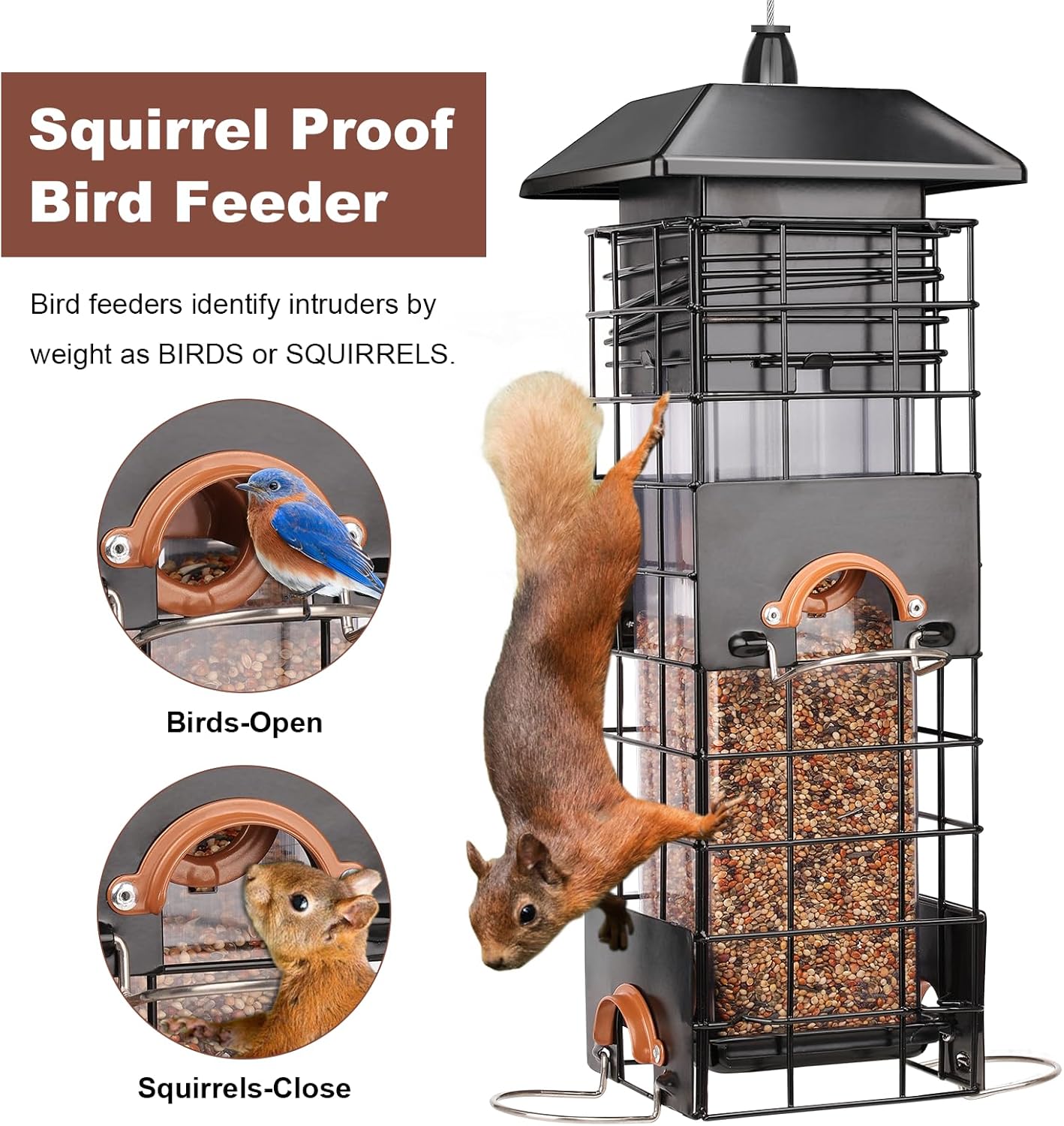 Squirrel Proof Bird Feeder - Metal Outdoor Design with 4 Feeding Ports, Wild Bird Feeders for Outside, 2.5lb Large Capacity, Ideal Gift for Bird Lovers