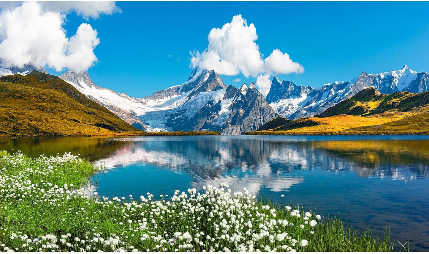 Mountains Lake Aquarium Background Bernese range View Fish Tank Background Switzerland Alps Grindelwald Valley Lake Terrarium Background Fantastic Natural Landscape Aquarium Fish Tank Decors 36x24in