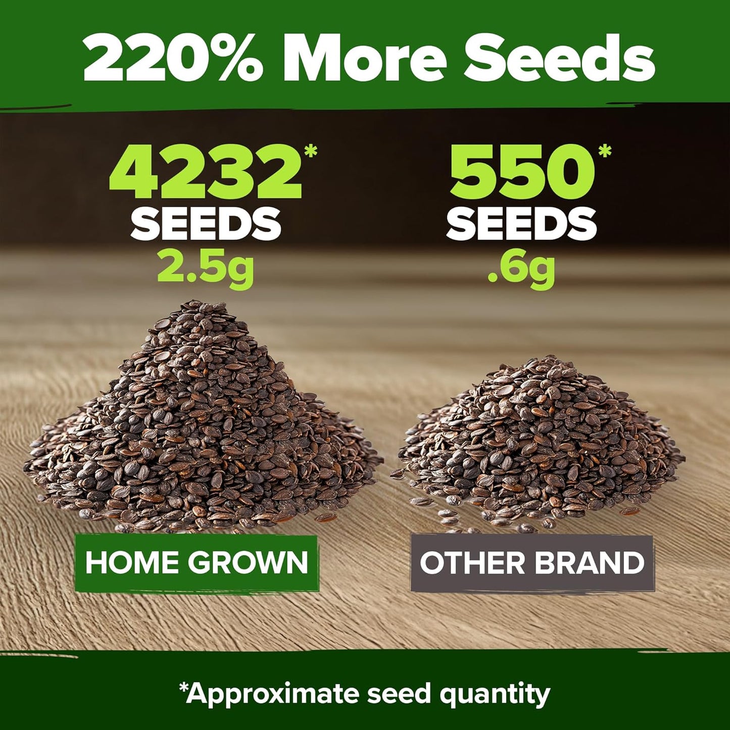 HOME GROWN Catnip Seeds (2 Pack) 𝗡𝗢𝗡-𝗚𝗠𝗢, 𝗨𝗦𝗔-𝗦𝗢𝗨𝗥𝗖𝗘𝗗 Heirloom Herb 4232 Seeds - Indoor or Outdoor Seed - High-Germination Cat Nip - Cat Safe Plants (Nepeta cataria)