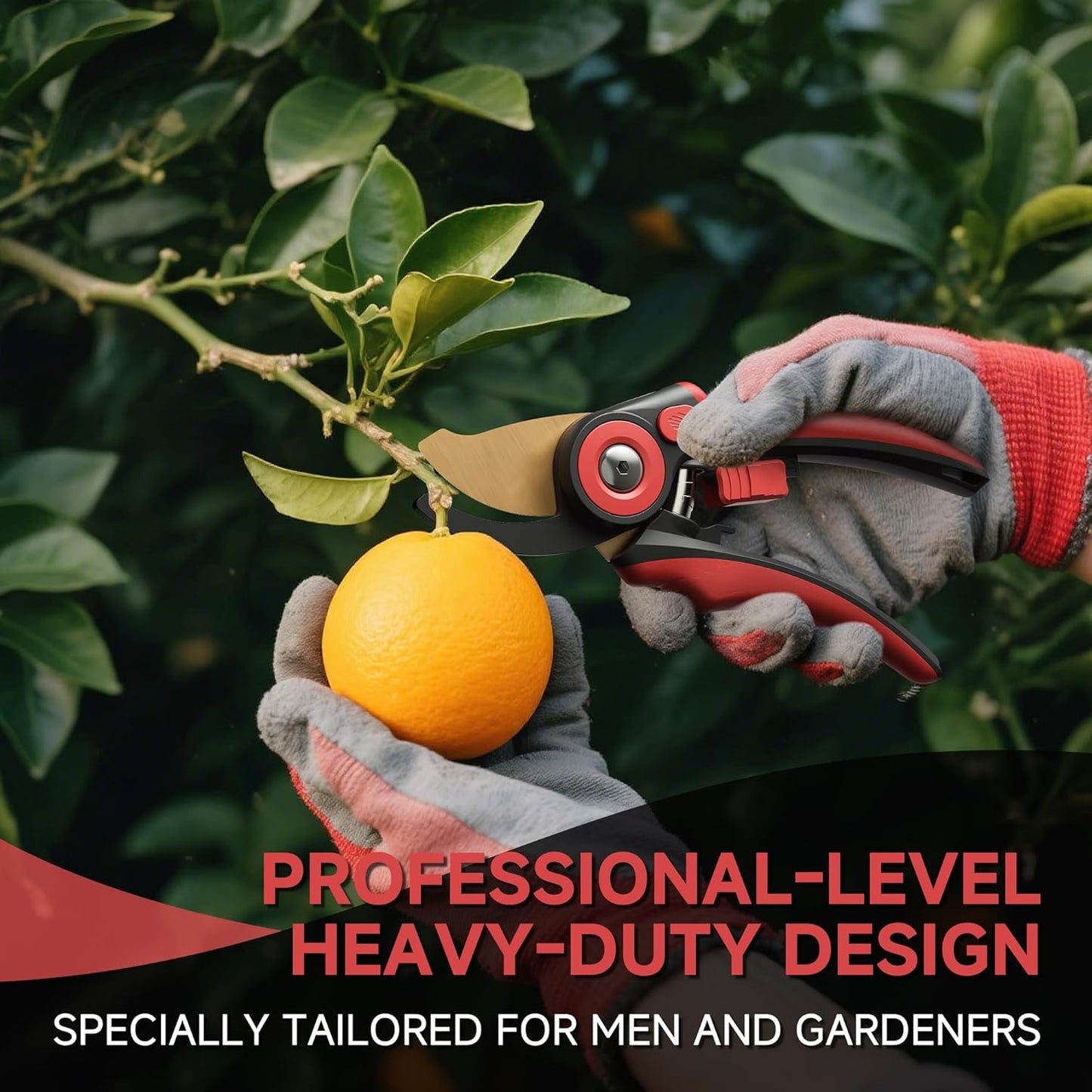 FLORA GUARD Bypass Pruning Shears 8.2" – Ultra Sharp SK5 Steel Blades with Titanium Coating, Ergonomic Rubber Handle Hand Pruners for 3/4" Branch Cutting, Garden Shears for Yard & Fruit Trees