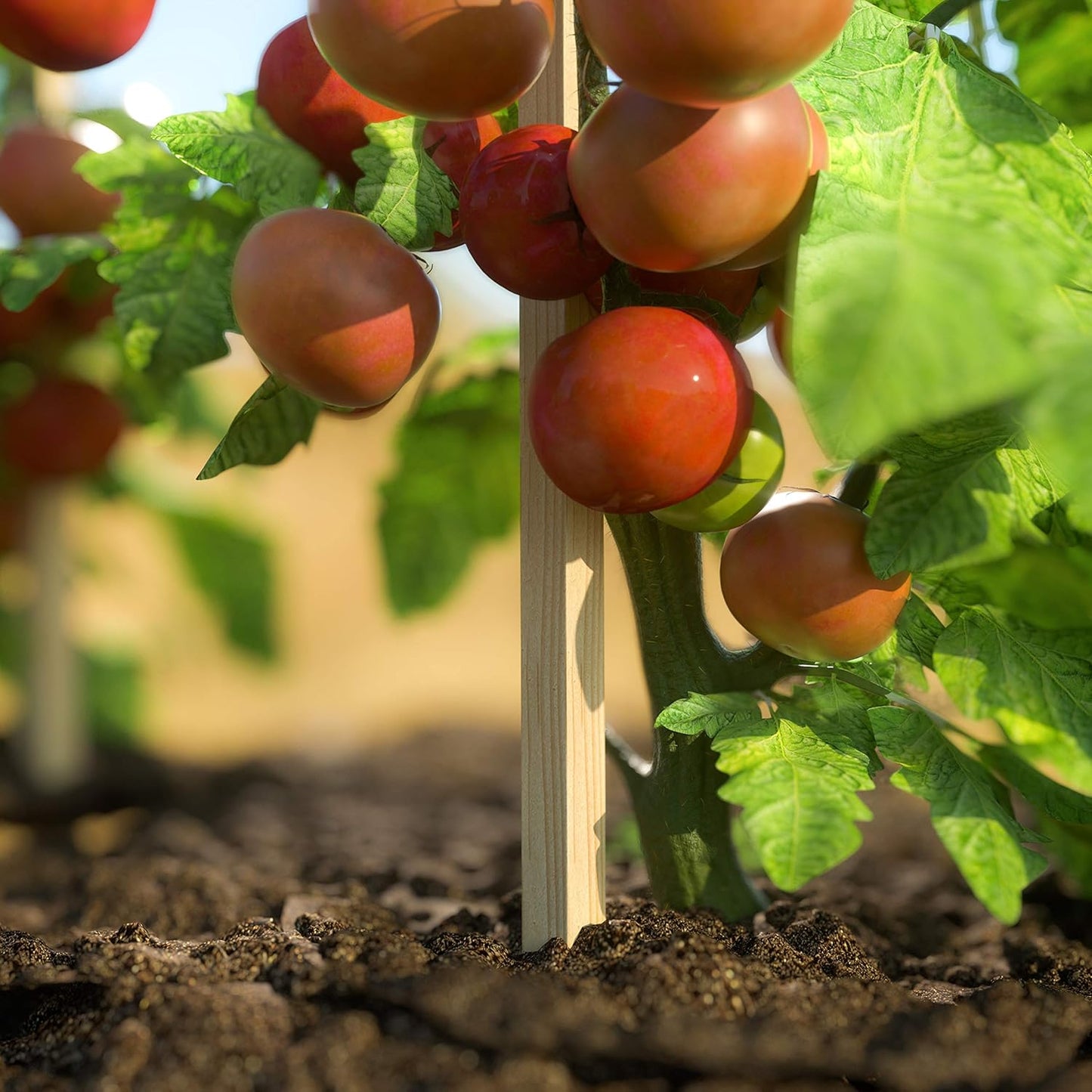 Greenes Fence 3 Ft. Wooden Garden and Sign Post Stakes (50-Pack)