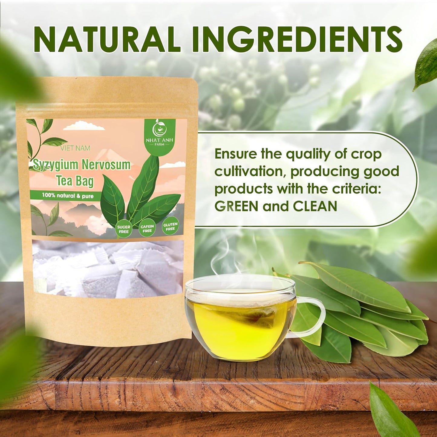 NHAT ANH FARM - Premium Syzygium Nervosum Tea Bags, 100 Syzygium Nervosum Tea Bags, 100% Natural Dried Syzygium Nervosum Leaves, Naturally Sweet Herbal Tea, Sugar-Free, Caffeine-Free, No Additives.