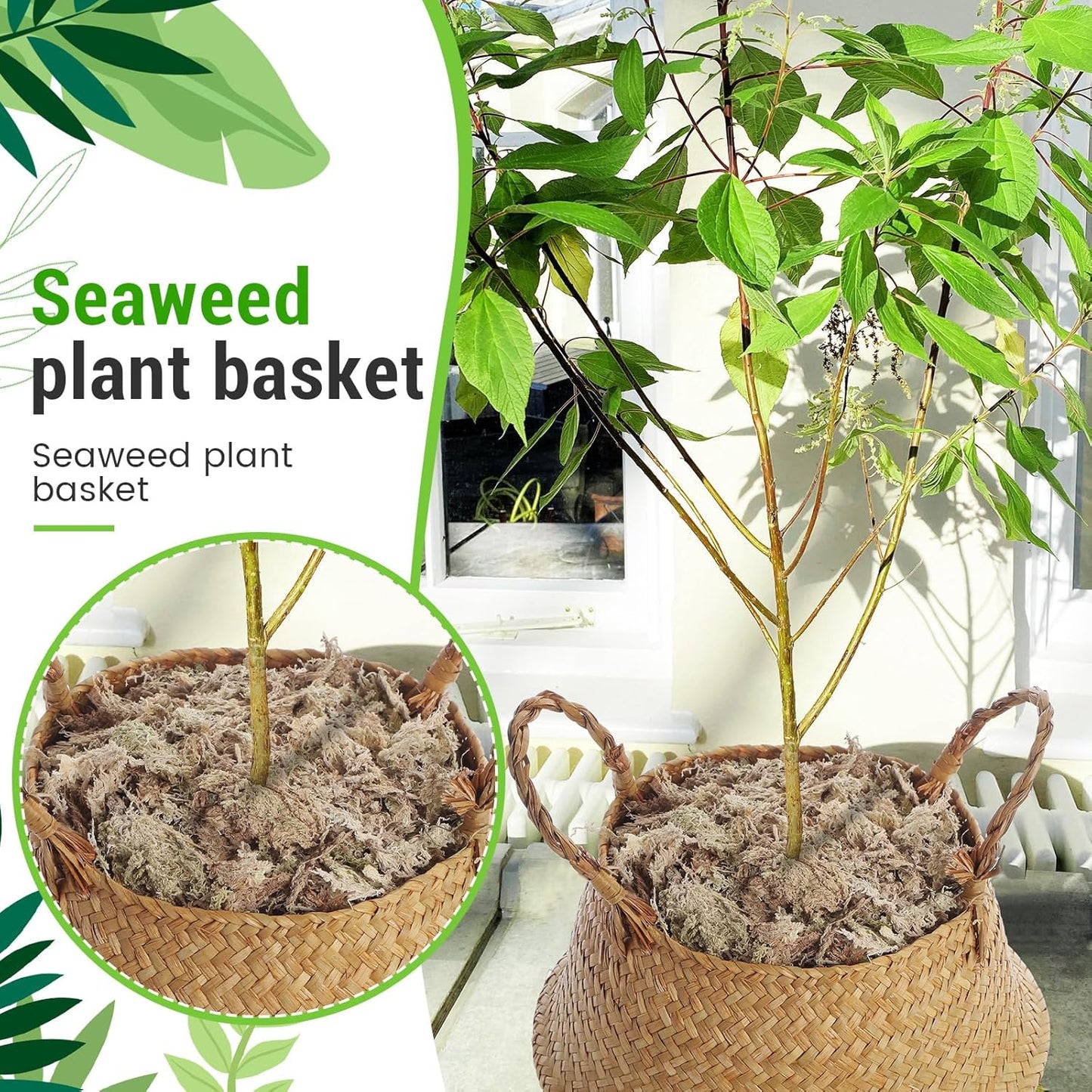 3 Pack Large Wicker Plant Basket with Handle 10 Inch Woven Seagrass Belly Basket and Artificial Moss for Plants Picnic Grocery Laundry House Storage Home Decor (Small,Medium,Large)