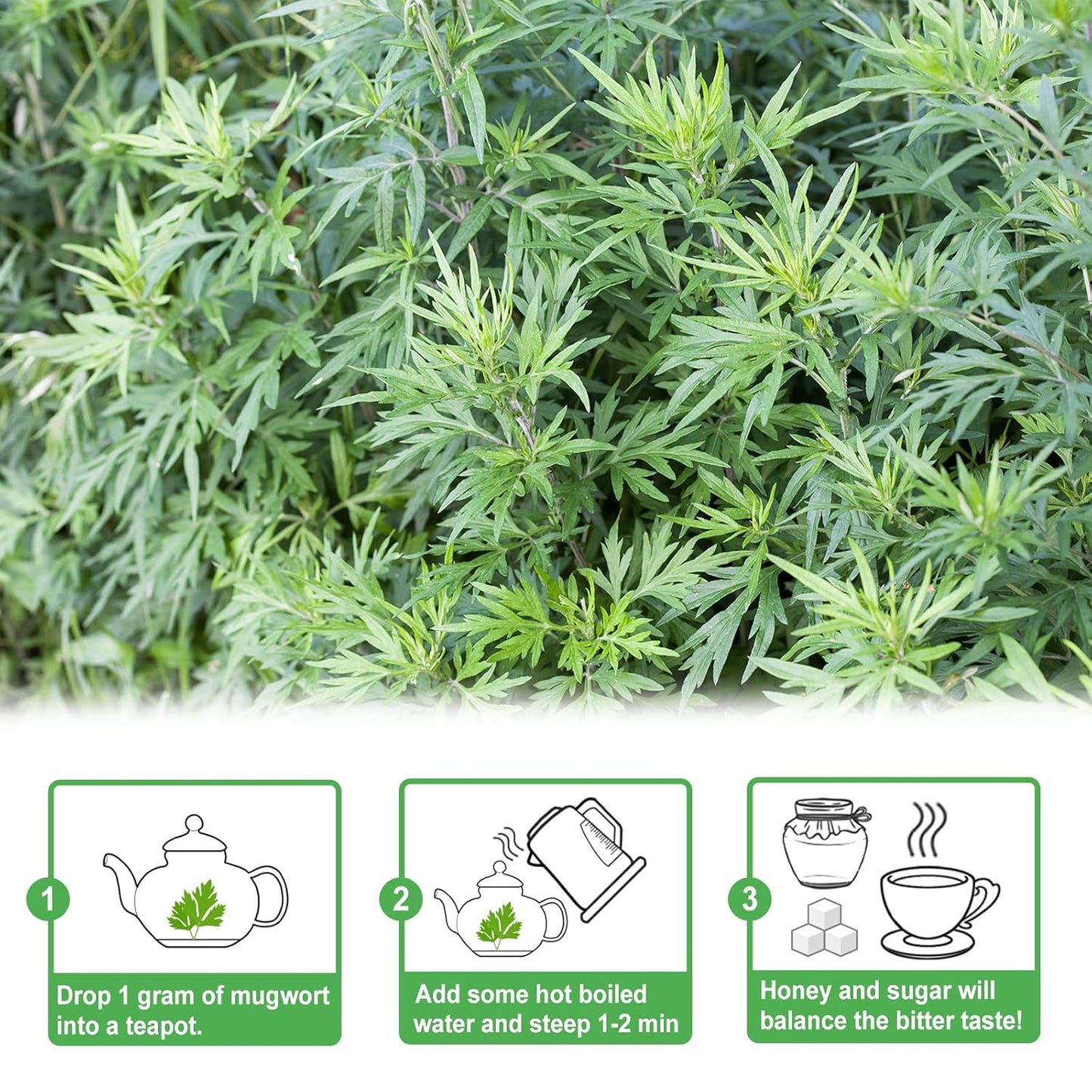 TEARELAE - Natural Mugwort Herb Dried Leaves - 4oz/114g - Mugwort Tea Loose Leaf - Non-GMO, Sulfur-free - 100% Pure Premium Dried Herbs - Help Sleep A Lucid Dream