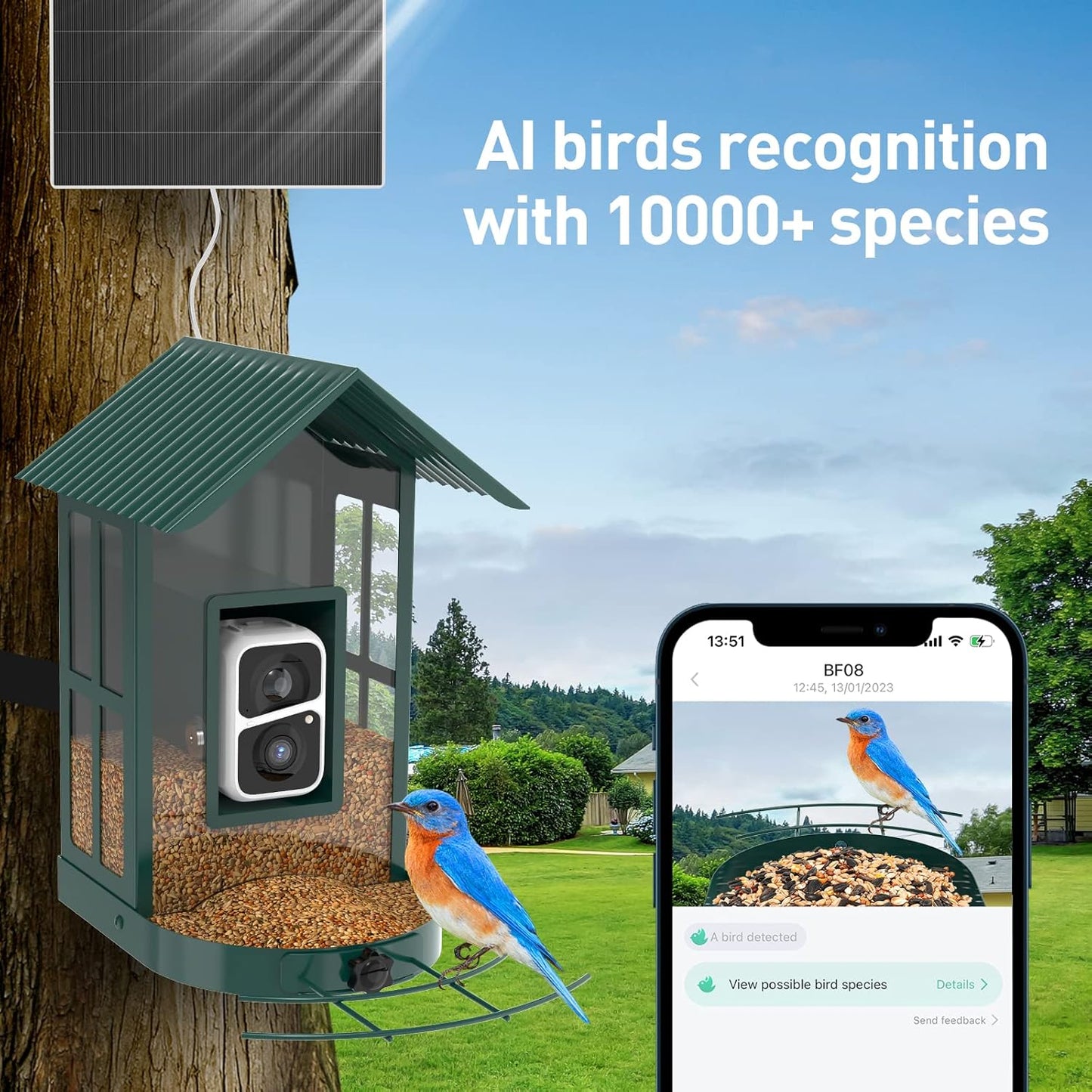 Soliom- Bird Feeder with Camera, 5W Solar Powered, AI Identify Species, Smart Wild Bird Watching, 2K Live View, Instant Arrival Alerts,Large 2.7L Seed Capacity, Metal Squirrel Chew-Proof - BF08 Green