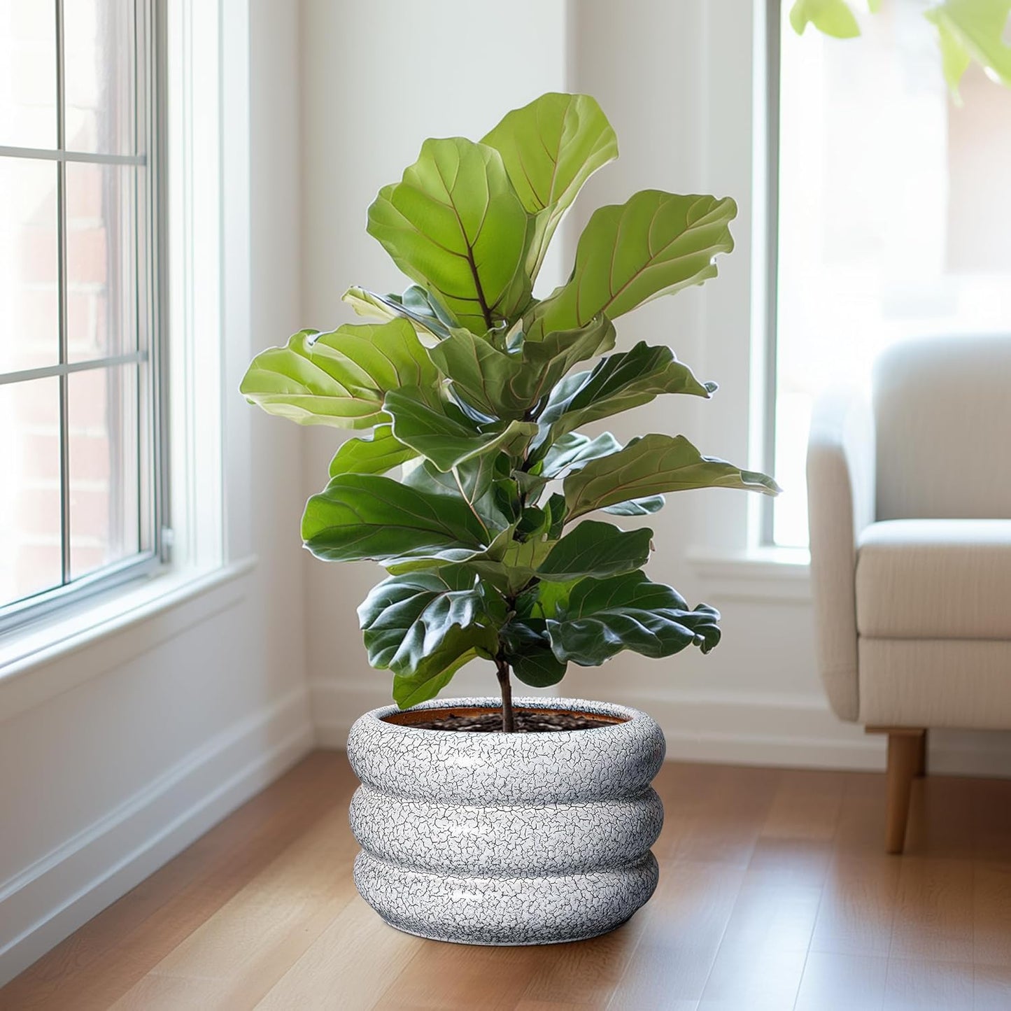 SQOWL Ceramic Plant Pots - 13.5 Inch Ceramic Planter with Drainage Hole, Large Round Planter for Indoor Plants, Modern Flower Pots Outdoor, Office Living Room Decor, Birthday Gifts, Black and White