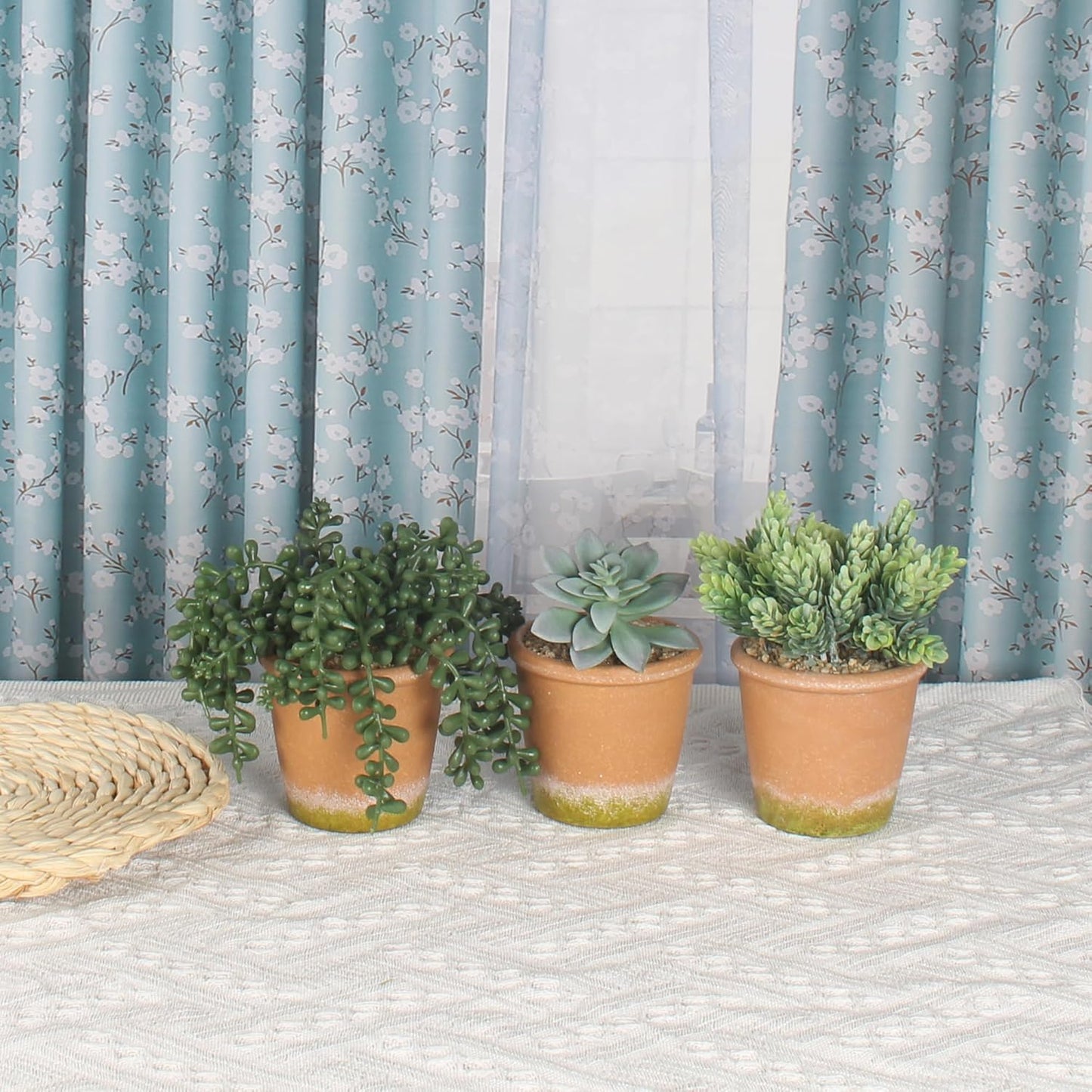 3 Pcs Artificial Succulent Plants Potted False Succulent Plants Potted Faux Potted Plant Family Office Bookshelf Decor