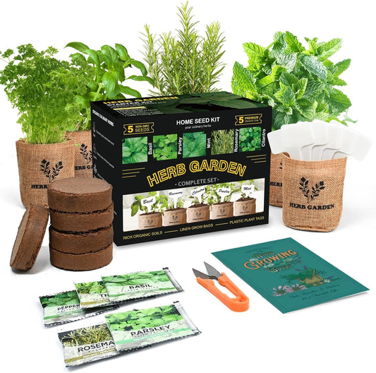 Indoor Herb Garden Starter Kit, 5 Non-GMO Herb Seeds - Basil, Parsley, Rosemary, Thyme, and Mint with Complete Planting Set for Kitchen Herb Garden DIY