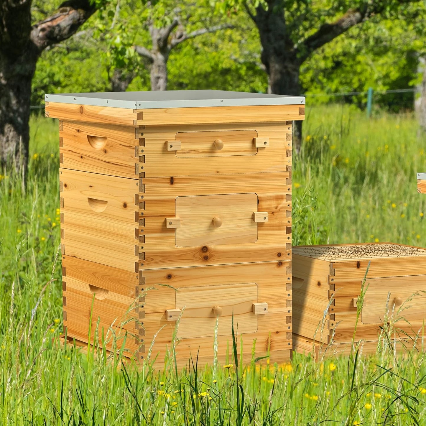 CREWORKS 10 Frame Bee Hive, 3 Layers Beeswax Coated Beehive Starter Kit with Frames & Foundations, Langstroth Bees Hives Box with Transparent Acrylic (Window Medium Box & 2 Deep Boxes)