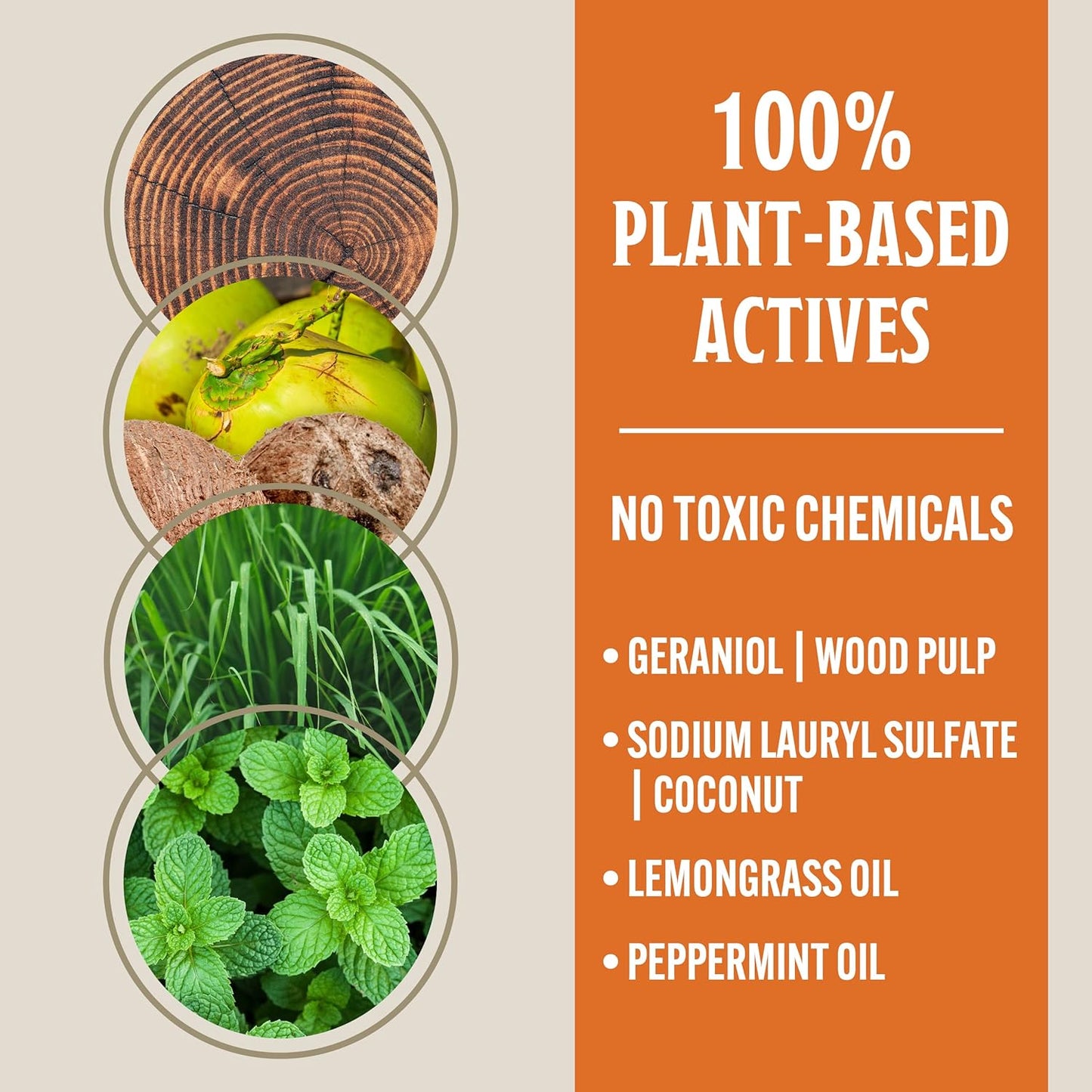 Grandpa Gus's Natural Tick Repellent Spray with Essential Oils - for Humans, DEET-Free, Up to 8 Hours of Protection, Camper Essentials, Safe Around Kids and Dogs, 4 oz (Pack of 2)