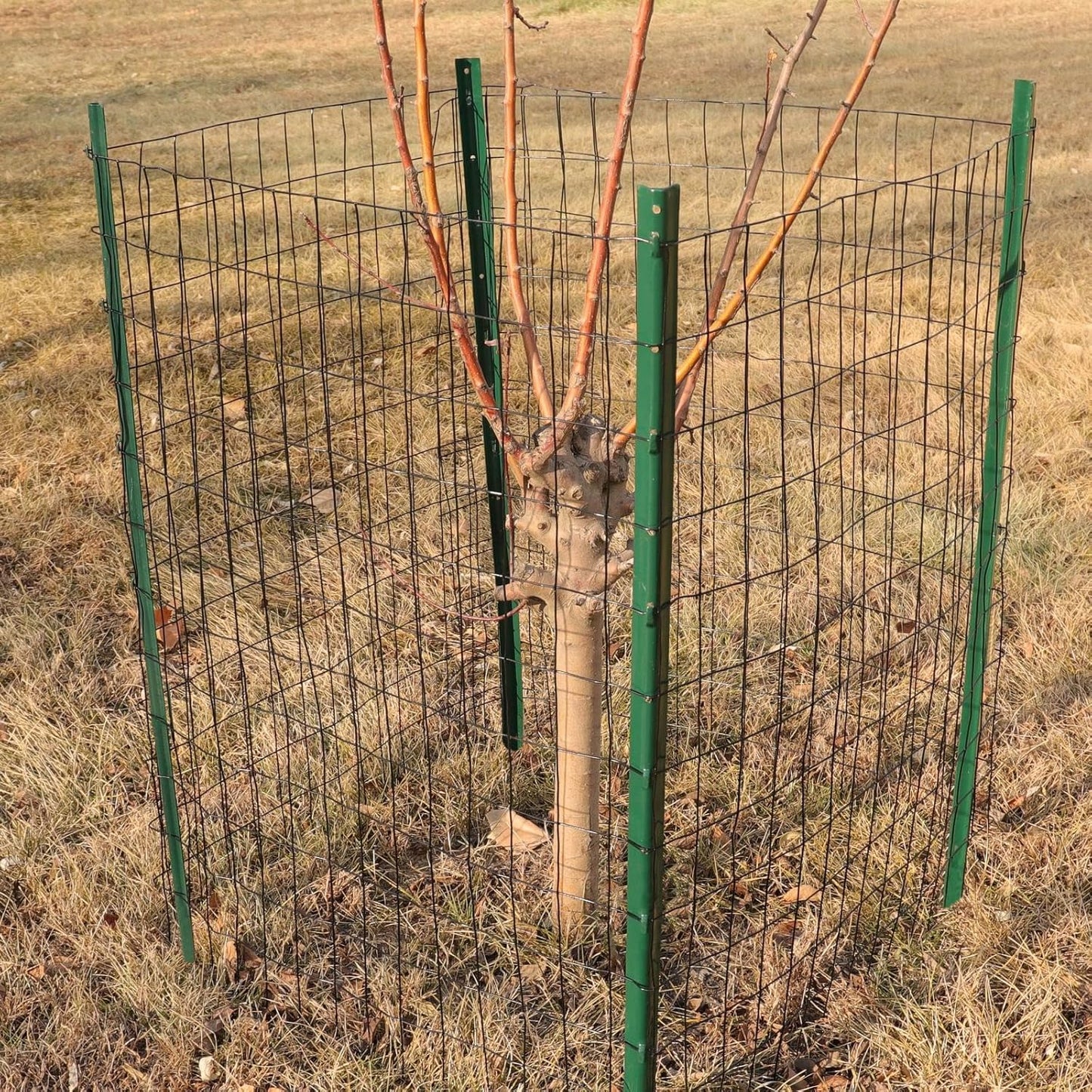 Black PVC Coated Welded Wire Fence 24 Inch x 50 Foot, 2 Inch x 3 Inch 16GA, Garden Border Fencing Roll Vinyl Coating Metal Wire Mesh for Yard Vegetable Plant Protection Poultry Netting