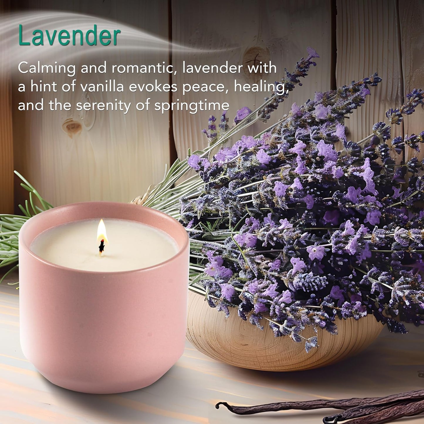 The Growing Candle, Lavender Scented, 8oz Ceramic Pot, Single Wick Aromatherapy Candles, 100% Soy for Women and Men, Adelyn