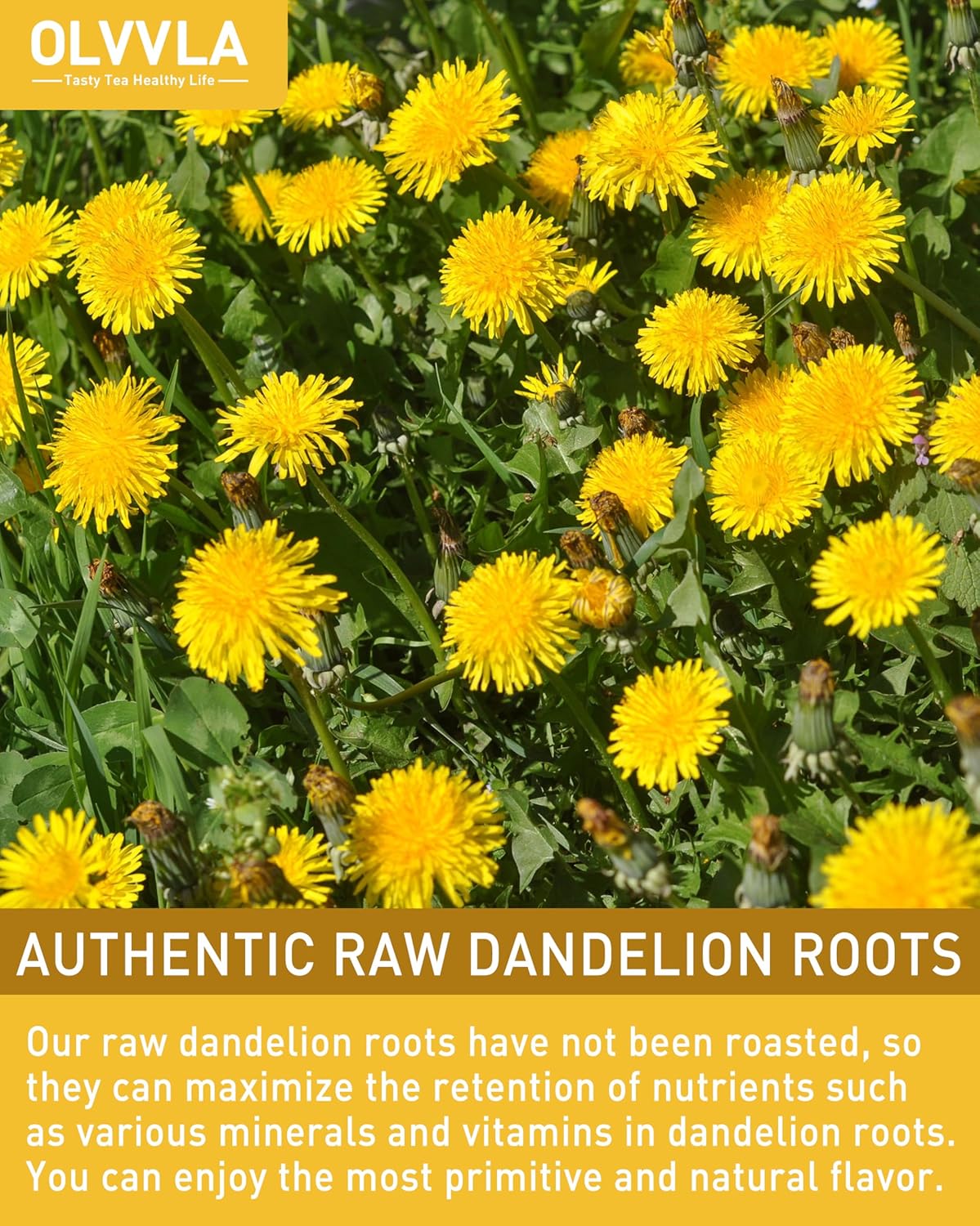 Olvvla - Dandelion Root Tea Bags - 2g X 80 Count - Premium Raw Dandelion Root - Caffeine-free - Non-GMO - Support Digestion & Cleanse