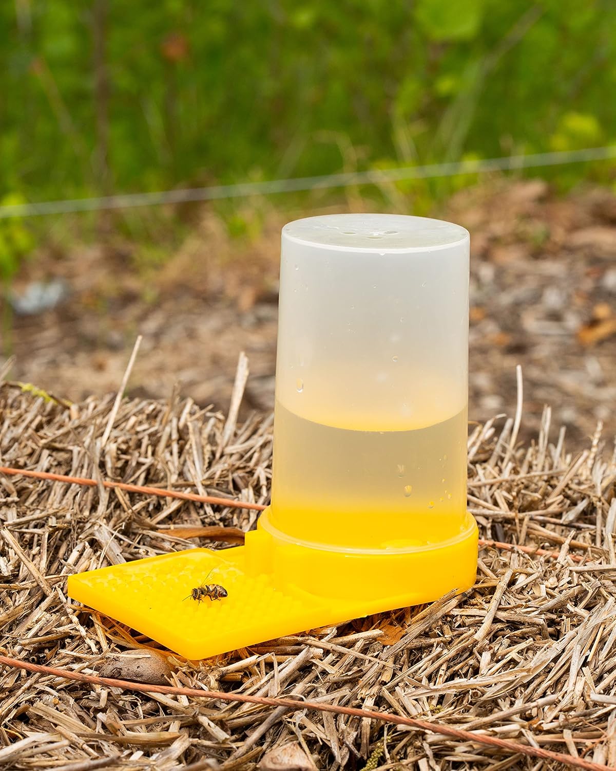 Bee Feeder Bee Watering Station 2 Pack